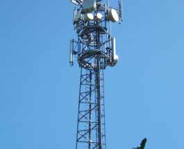 Anteny CDMA: Kluczowa Technologia W Świecie Bezprzewodowej Komunikacji
