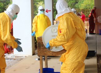 Szkolenia kierowców w zakresie materiałów niebezpiecznych: co naprawdę działa, a co jest tylko formalnością na papierze Szkolenie BHP na zewnątrz, specjaliści w żółtych kombinezonach ochronnych